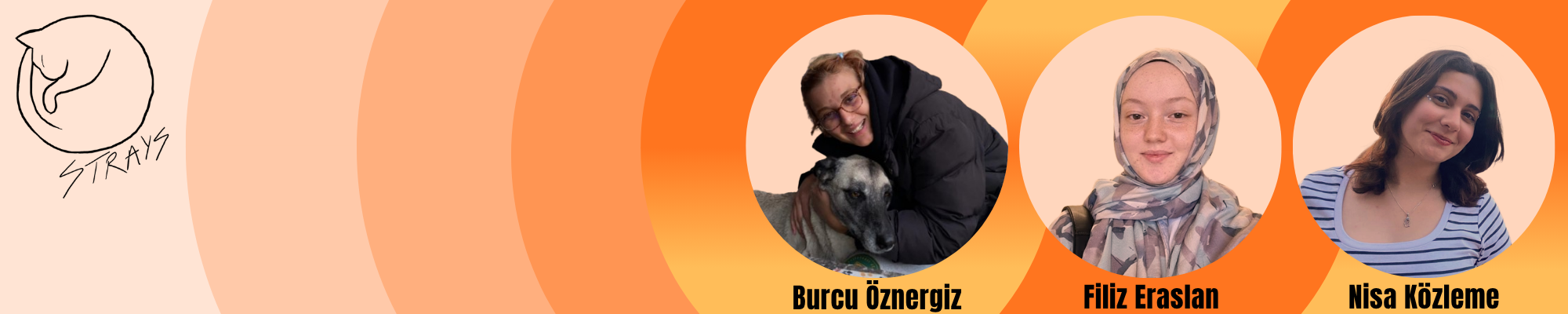 Read more about the article Task | Designers’ Team Banner